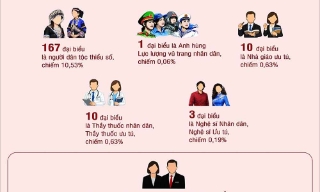 Cơ cấu, thành phần đại biểu dự Đại hội XIV của Đảng